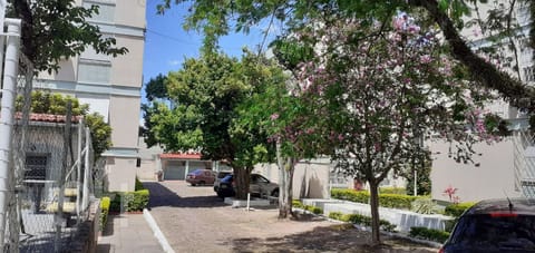 Image 31 - 237897
